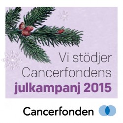 facebook-foretag-gava-julen-2015-250x250 facebook-foretag-gava-julen-2015-250x250